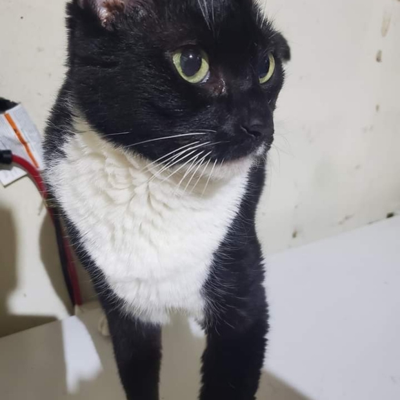 Meet your Posher, Colleen - Picture 3 of 4